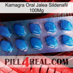 Kamagra Oral Jelly Sildenafil 100Mg viagra1